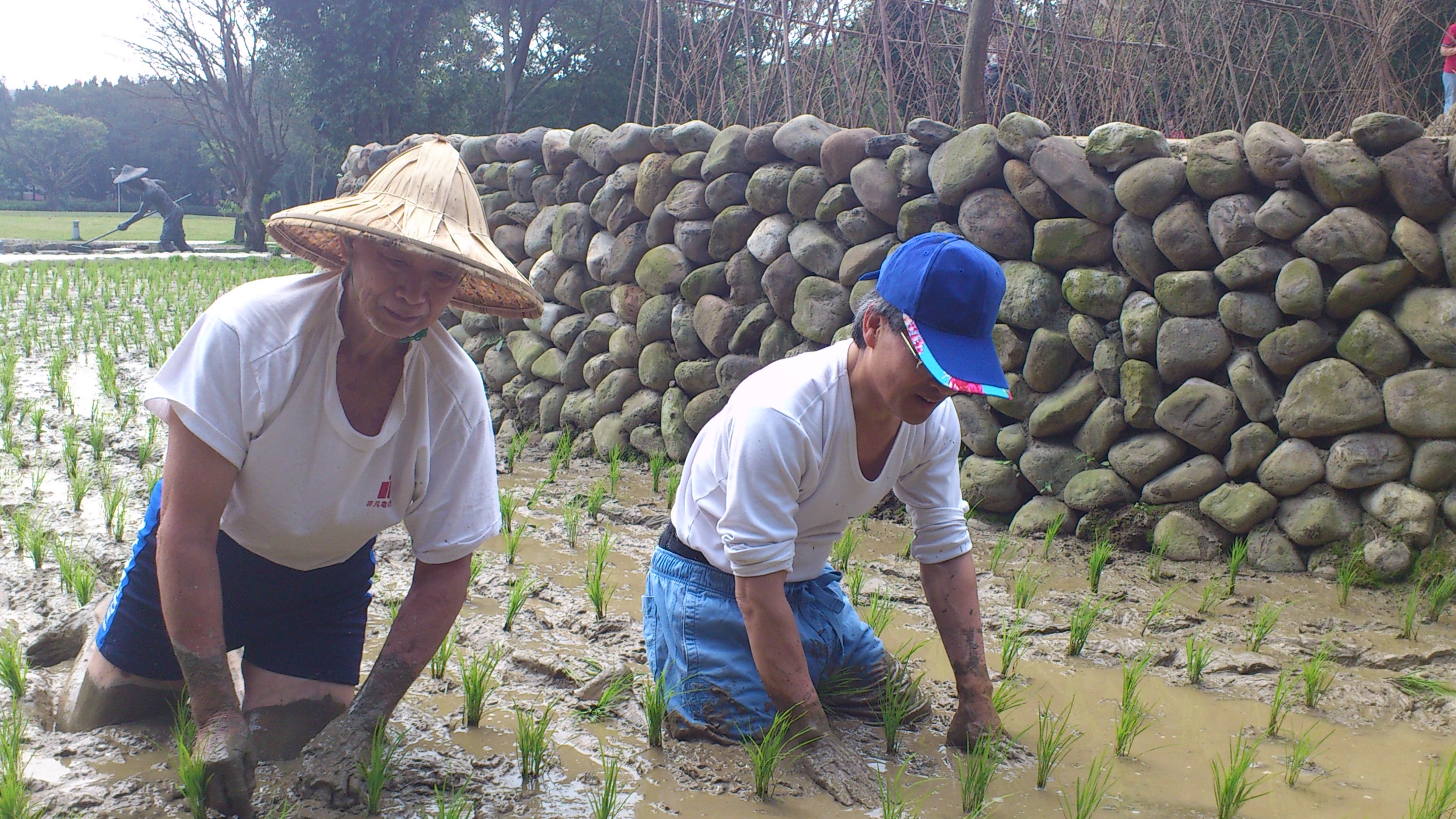 除草施肥